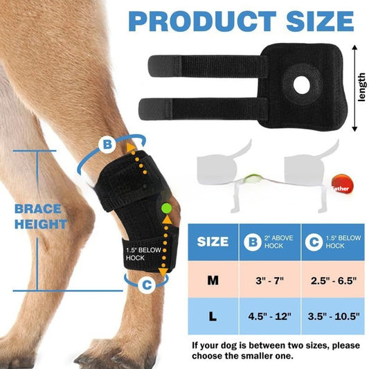 Pet Dog Leg Guard Joint Knee Pad ACL Ligament Tear Auxiliary Rehabilitation Cat Joint Dislocation Protection