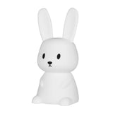 Small Night Lamp USB Charging Colorful Color Changing Timing Night Light LED Bedside Sleeping Light